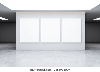 Three blank canvases displayed on a gallery wall, with a minimalistic modern design, on a light background, concept of art exhibition. 3D Rendering - Powered by Shutterstock - Get 15% off with code: PIKWIZARD15