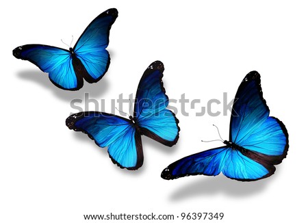 Three Blue Butterflies Flying Isolated On Stock Illustration 96397349