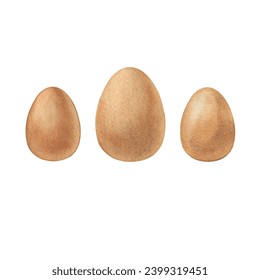 Three brown chickens eggs shell. Design for Easter celebration. Watercolor hand drawn illustration on white background - Powered by Shutterstock