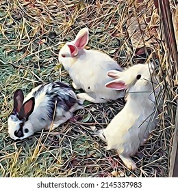 Three Bunnies In The Garden 