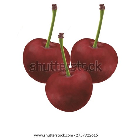 Three cherries suitable for illustrations and background