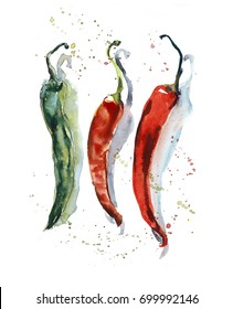 Three chili peppers. Sketch. Watercolor hand drawn illustration. 