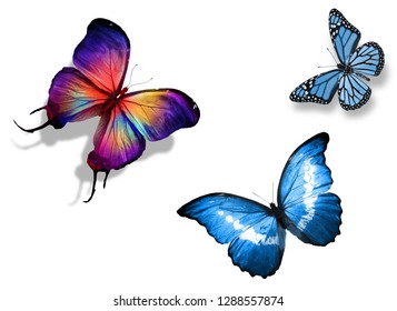 Three Color Butterflies Isolated On White Stock Illustration 127854785