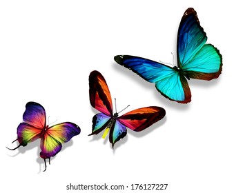 Three Color Butterflies Isolated On White Stock Illustration 176127227