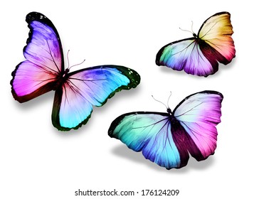 Three Color Butterfliesmorpho Isolated On White Stock Illustration ...