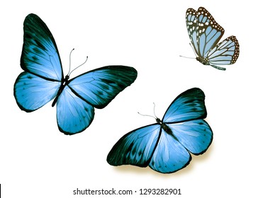 Set Flying Turquoise Butterflies Watercolor Illustration Stock 