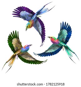 Three Colorful Little Birds Are Flying.Marker And Watercolor Hand Drawn Illustration With  Birds. Color Birds In Isolated White Background.