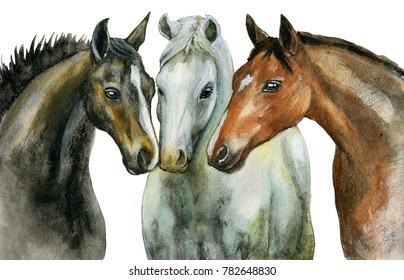 three horses watercolor illustration.