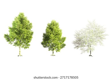 Three isolated trees for use in design projects, environmental themes, or naturerelated concepts. Versatile for web, prints, and presentations.