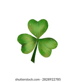 Three leaf clover drawing