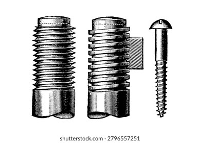 Three machine screws (bolts) of increasing size, contrasting thread coarseness and head designs, old vintage illustration, 1897.