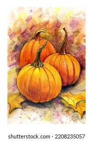 Three orange pumpkins drawn and colored pencils  Cozy autumn  For posters  stickers  postcards  for interior decoration for holiday 