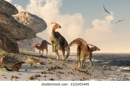 Three parasaurolophus stand on a rock beach. Pterasaurs fly over head and a small mammal watches the dinosaurs as they meander along the water's edge. 3DRendering