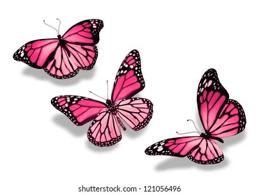 Three pink butterflies, isolated on white background