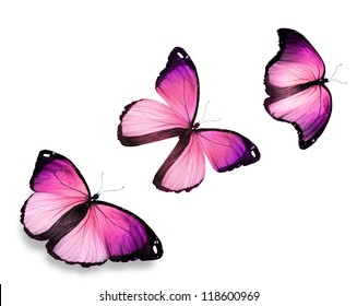 Similar Images, Stock Photos & Vectors of Beautiful Pink butterfly ...