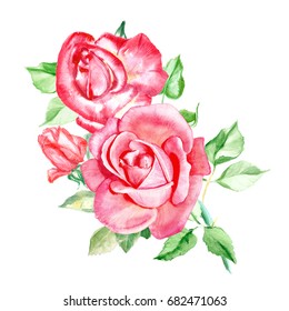 Three Pink Roses. Watercolor Painting. Wedding Drawings. Greeting Card. Flower Background, Watercolor Composition. Hand Drawn Floral  Illustration. Rose Backdrop. 