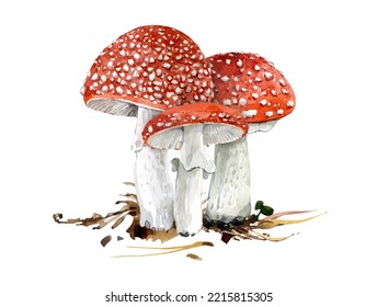 Three red mushrooms painted