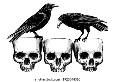 three skulls and crows isolated on a white background
