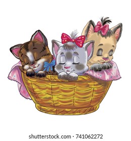 three sleepy kitten  in a basket artistic drawing
