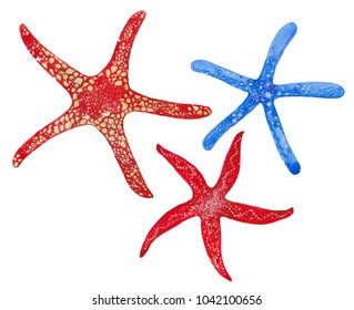 Three Starfish, Watercolor Illustration  On White Background