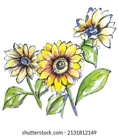 Three Sunflowers Gouache And Fine Liner Illustration 