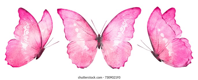  Three watercolor butterflies, isolated on white background