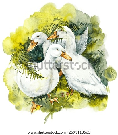 Three white ducks. Pattern with freindly bird. Farm story. Watercolor hand drawn illustration