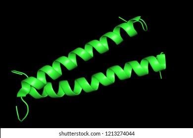 Three-dimensional Crystal Structure Of Protein Molecule, Tumor Growth Marker. 3D Model Of A Biopolymer Is A Peptide.