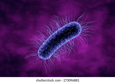 Рисунок escherichia coli