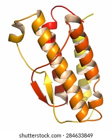 Thrombopoietin (THPO, functional domain) hormone. Regulates production of blood platelets. Cartoon representation. N-to-C gradient coloring.