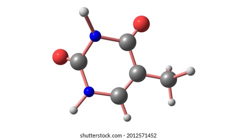 Thymine Pyrimidine Nucleobase That Uracil Which Stock Illustration ...