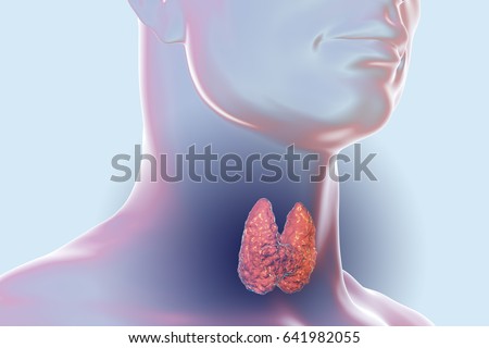 How to restore new iphone xs max pre order time Show picture of inside human body