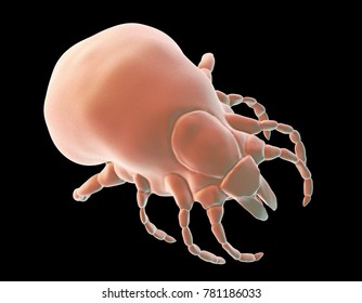 Tick Ixodes, an arthropod responsible for transmission of bacterium Borrelia burgdorferi that causes Lyme disease, it also transmits viral encephalitis and other infections, 3D illustration