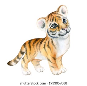 Tiger Baby, Tiger Cub Watercolor Isolated On White Background. Animal. Watercolor. Illustration