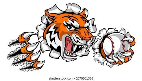 371 Wildcats Baseball Images, Stock Photos & Vectors | Shutterstock