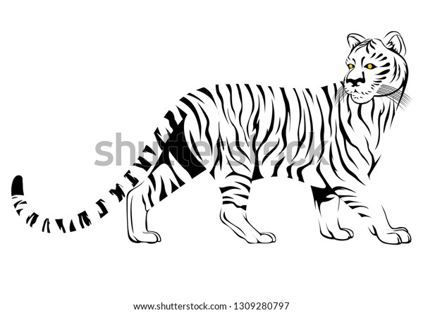 白黒の虎 のイラスト素材