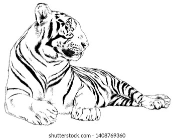 Tiger One Line Stock Vector (Royalty Free) 1082717492