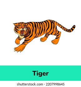 Tiger English Word Flashcard Beginners Stock Illustration 2207998645 ...