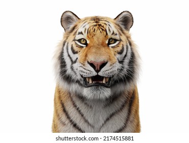 Tiger Face Portrait Isolated On White. 3d Render