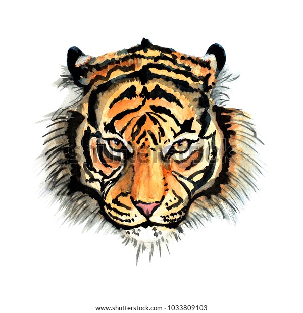 Tiger Head Print Fluffy Watercolor Illustration Stock Illustration ...