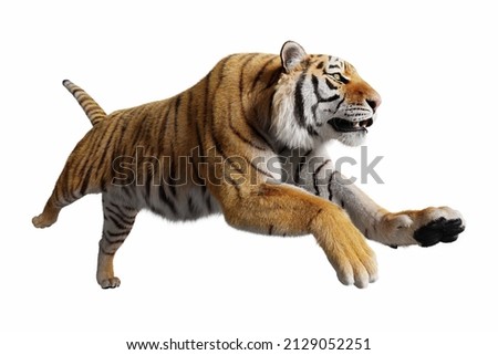 Tiger jumping attack isolated on white 3d render
