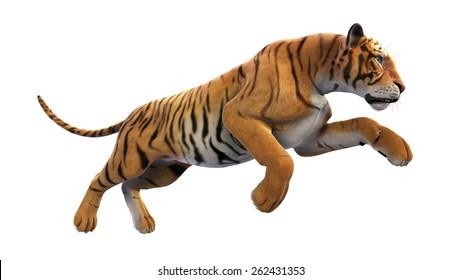 Tiger Running On White Background
