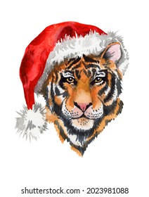 A tiger in a Santa Claus hat. Symbol of the New Year 2022. Watercolor illustration of a portrait of a tiger.