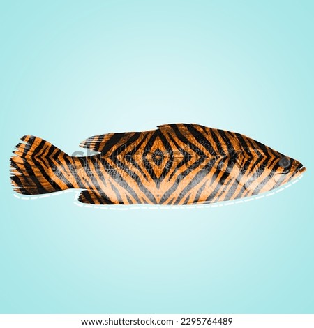 tiger skin pattern on a fish | be unique concept | weird animal photo manipulation