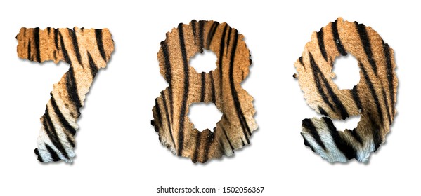 Tiger Alphabet Images Stock Photos Vectors Shutterstock