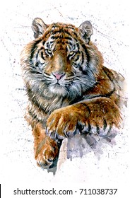 Tiger Watercolor