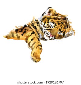 Tiger Watercolor Illustration. Wild Baby Animals Series