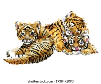 Tiger Watercolor Illustration. Wild Baby Animals Series