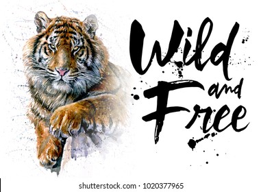 73,359 Watercolor tiger Images, Stock Photos & Vectors | Shutterstock