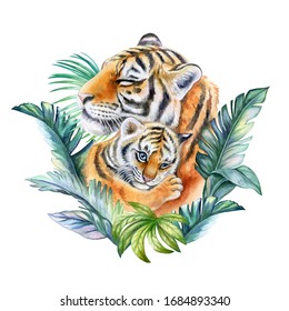 Tigers. Mum with a child tropical green leaves isolated on a white background. A tigress mam washes a baby. Watercolor. Illustration. Close-up. Clipart. Mothers Day. Greeting card design. - Powered by Shutterstock